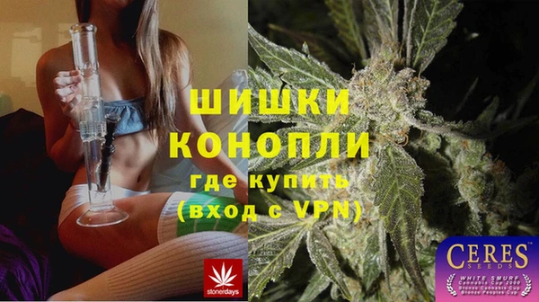 твердый Алексин