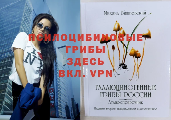 соль курить ск Алзамай