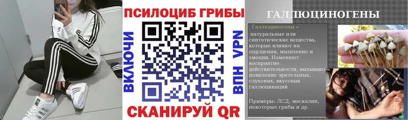 Галлюциногенные грибы Psilocybine cubensis  где купить наркотик  Брянск 